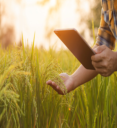 Agronomics Testing Equipment